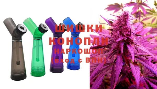 ПСИЛОЦИБИНОВЫЕ ГРИБЫ Елабуга