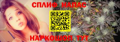гашик Кунгур