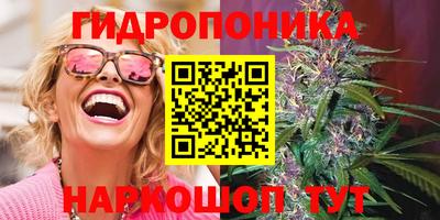 шишки Кулебаки