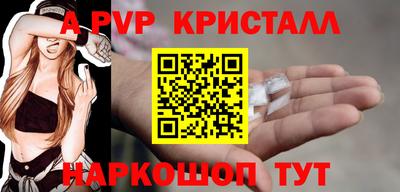 гашик Кунгур