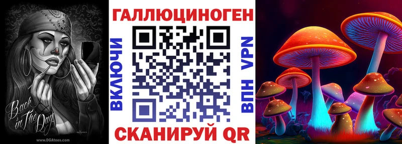 где продают   blacksprut ТОР  Псилоцибиновые грибы мицелий  Ейск 