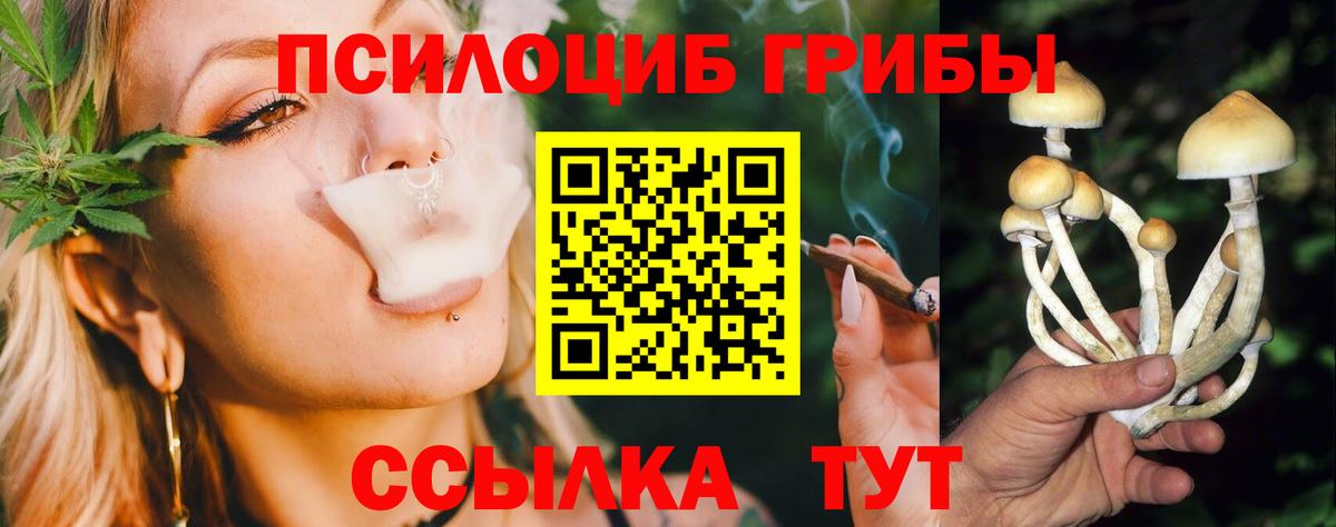 Псилоцибиновые грибы Magic Shrooms Ейск